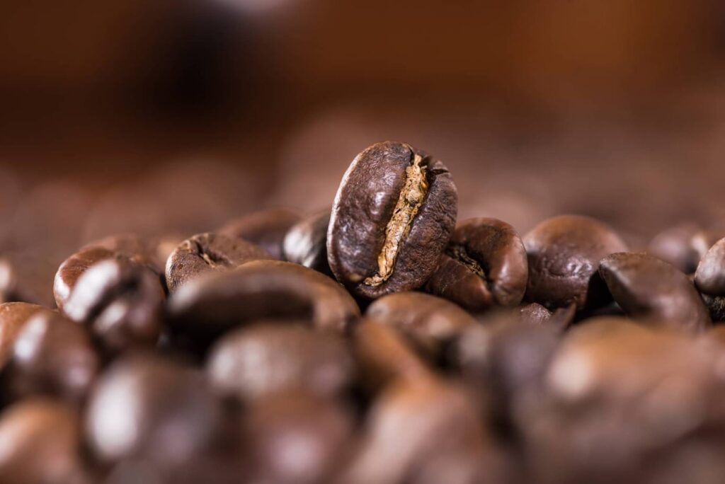 Non Oily Coffee Beans